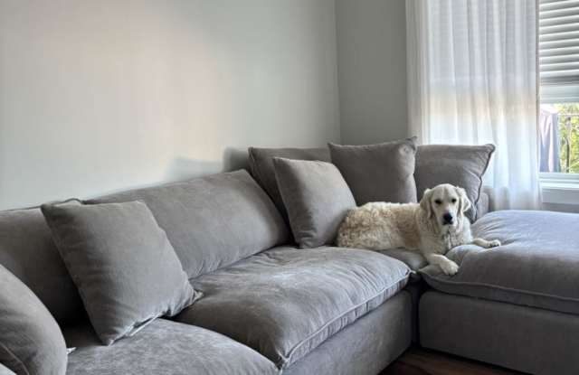 Photo of 555 Roger Williams