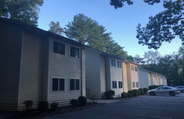 Upper Level Black Mountain Apartment