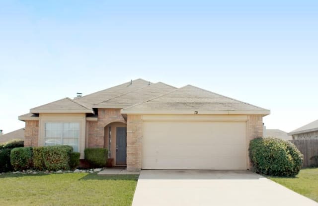 721 Mackenzie Drive - 721 Mackenzie Drive, Royse City, TX 75189