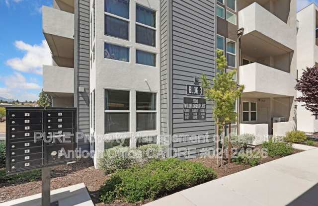 2600 Wildflower Station Pl