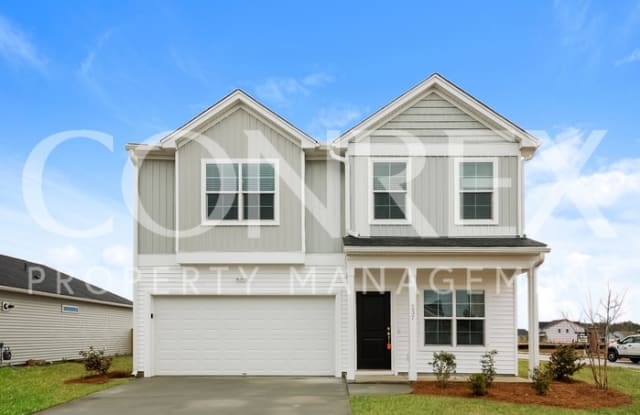 237 Clydesdale Circle - 237 Clydesdale Circle, Berkeley County, SC 29486