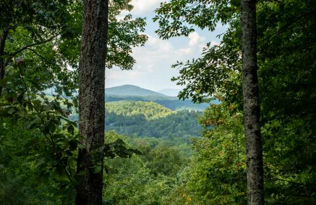 423 Laurel Creek Road