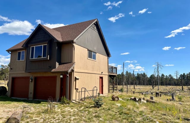 9652 Rifle Terrace - 9652 Rifle Terrace, Black Forest, CO 80908