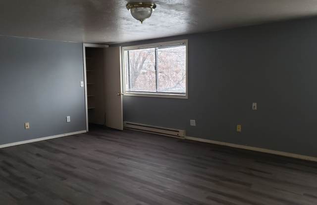 Cozy downtown apartment
