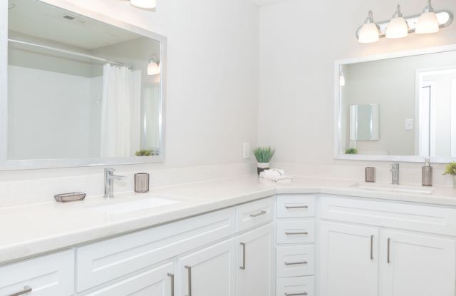 Photo of Terra at Piney Point