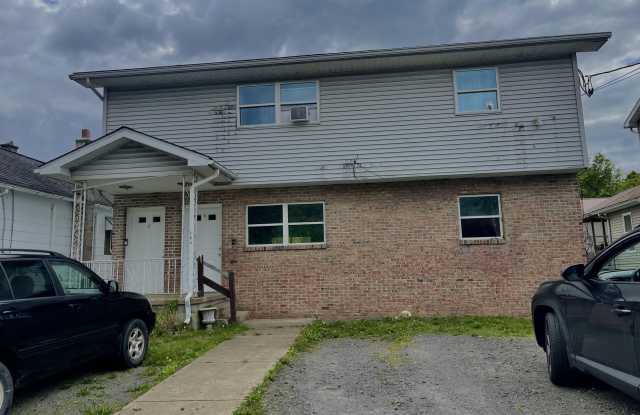 894 Sibley Avenue - 894 Sibley Avenue, Old Forge, PA 18518