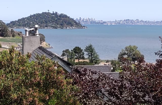 44 Reed Ranch Road - 44 Reed Ranch Road, Tiburon, CA 94920