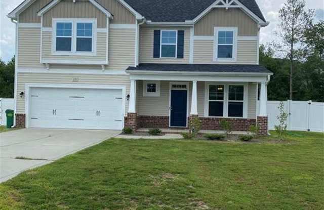 218 Pittfield Run - 218 Pittfield Run, Harnett County, NC 28326