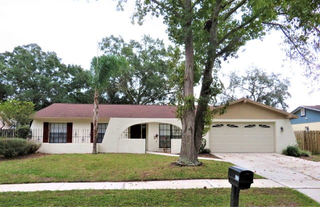 4212 Autumn Leaves Dr - 4212 Autumn Leaves Drive, Northdale, FL 33624