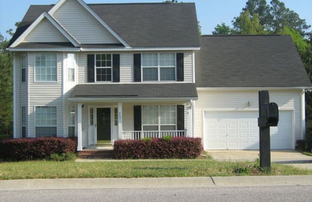 203 Alderston Way - 203 Alderston Way, Richland County, SC 29229