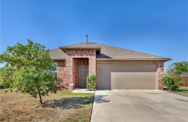 209  Rafe CT - 209 Rafe Court, Kyle, TX 78640