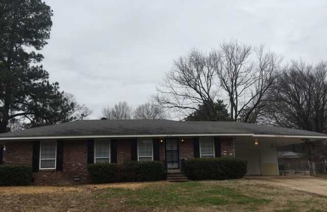 294 Dreger Ave - 294 Dreger Ave, Memphis, TN 38109