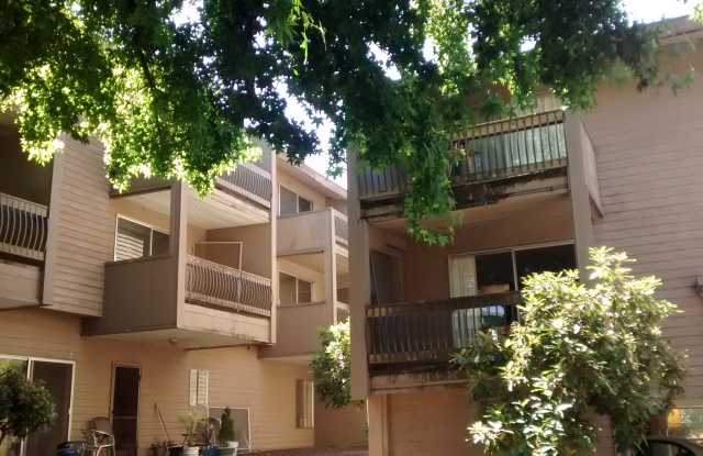 1235 Mill Street #3