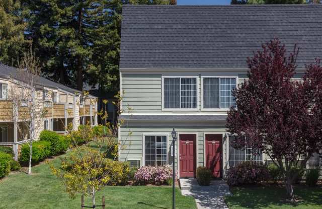 Central Park At Whisman Station