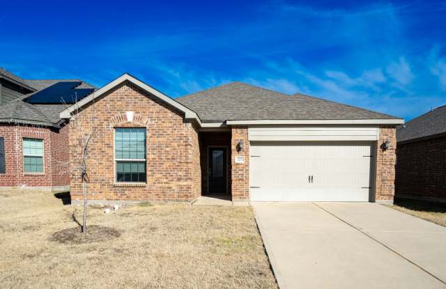 Charming  Move-In Ready 4 bedrooms in Anna