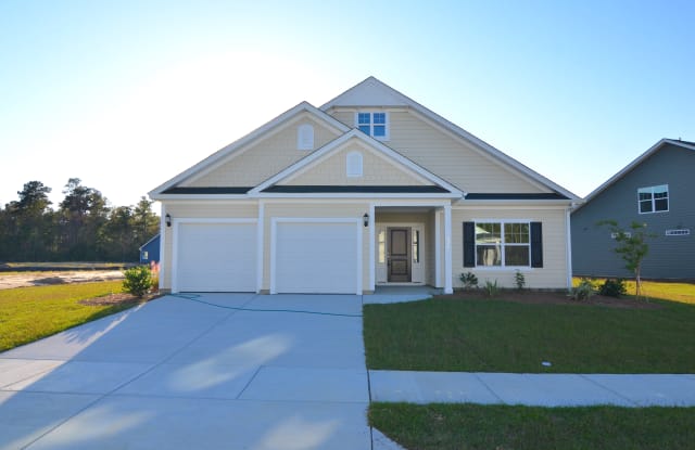 221 Fiddleback Dr - 221 Fiddleback Drive, Goose Creek, SC 29486