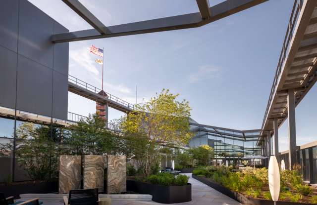 Luminary at One Light