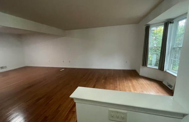 115 SPRINGBROOK Court