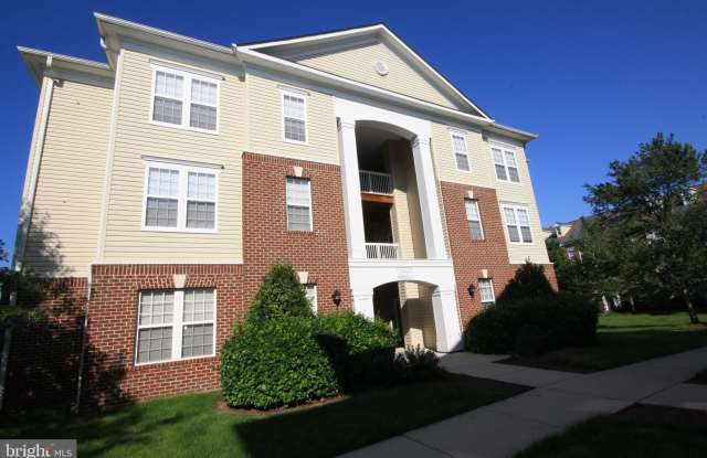 22961 BLUE ELDER TERRACE