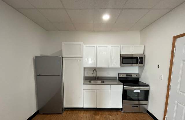 1109 Central, Renovated Historic Living!