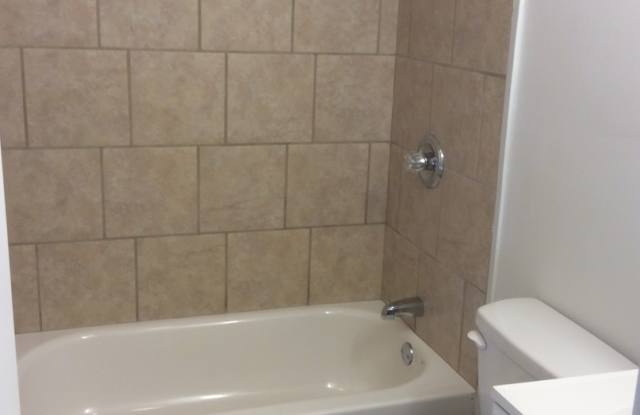 1 Bedroom Apartment in Downtown near the Judicial Center