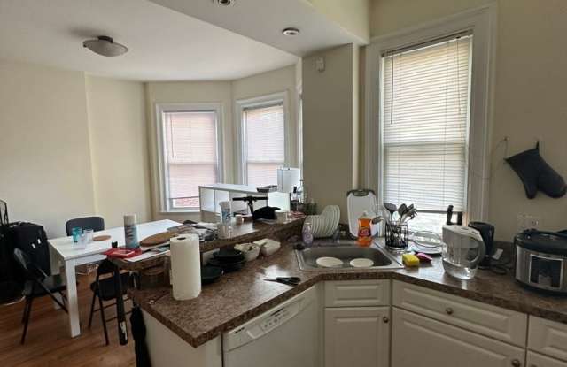 2-Bed  Bath Modern BU/Allston/Packard's Corner