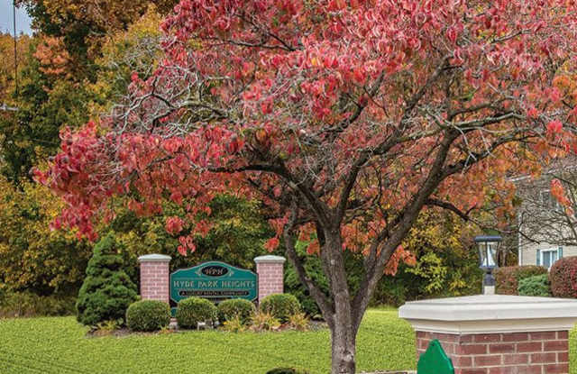 Photo of Hyde Park Heights