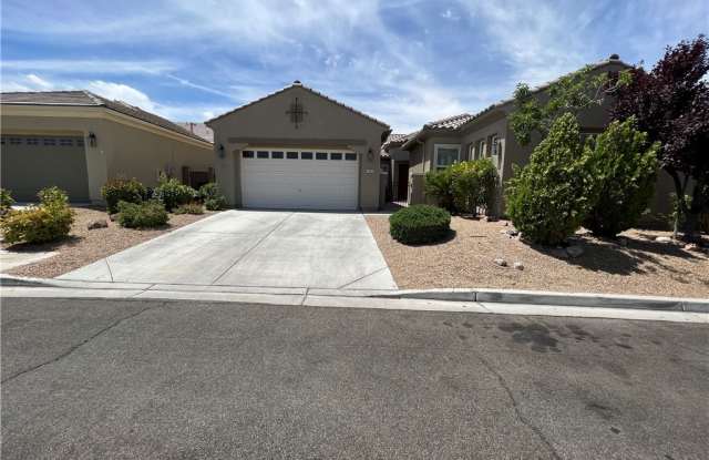 2483 Blair Castle Street - 2483 Blair Castle Street, Henderson, NV 89044