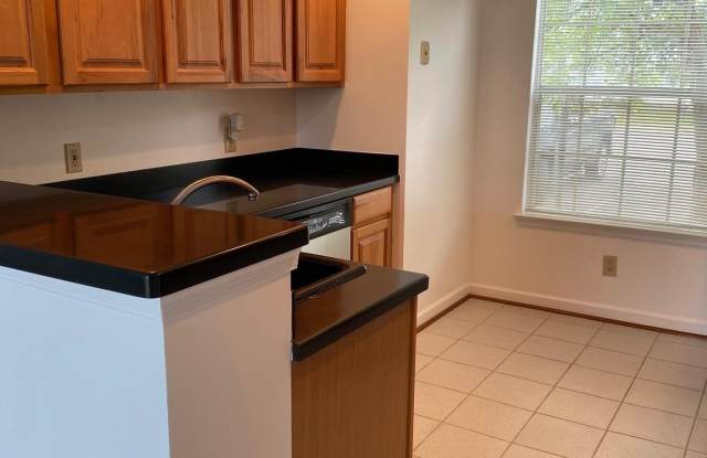 16454 CANVASS BACK COURT