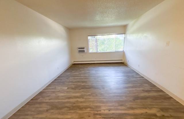 Spacious 1  2 Bedroom Apartments in East Colorado Springs!