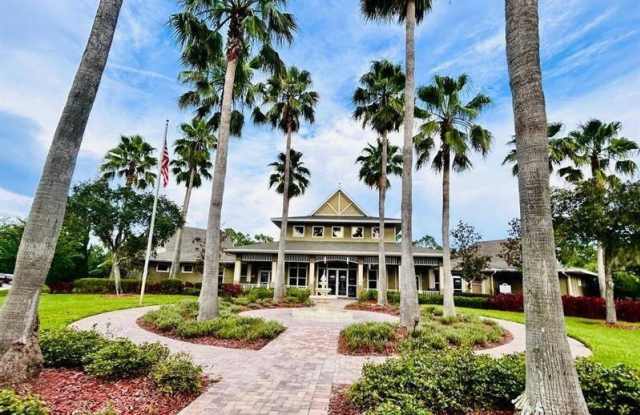 20719 GREAT LAUREL AVE TAMPA, 33647