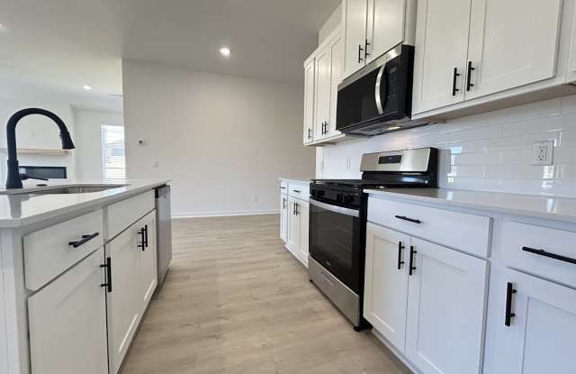 305 North Anser Bend