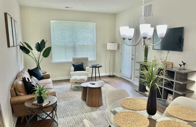 Photo of Morgan's Bluff