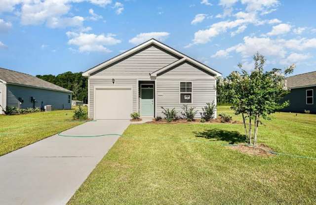 155 cassina dr - 155 Cassina Drive, Horry County, SC 29568