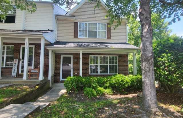 747 Mountainwater Dr - 747 Mountainwater Drive, Charlotte, NC 28262