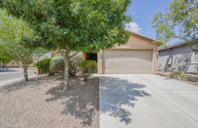 6992 S Filaree Place - 6992 South Filaree Place, Pima County, AZ 85756