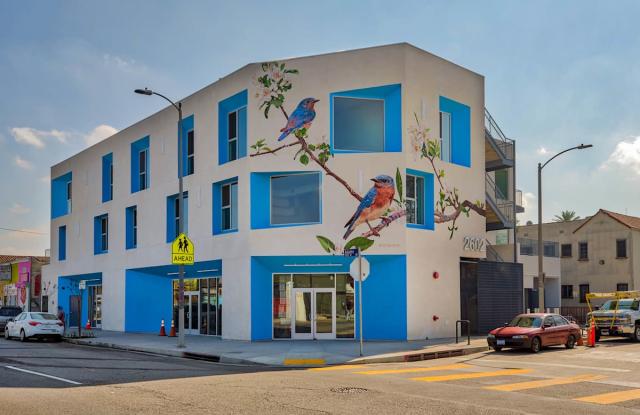 Photo of Catalina West Adams