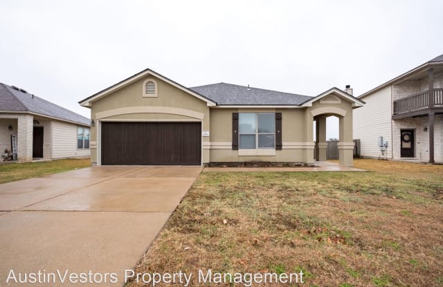 1645 E Mesa Park Dr - 1645 Mesa Park Drive, Round Rock, TX 78664