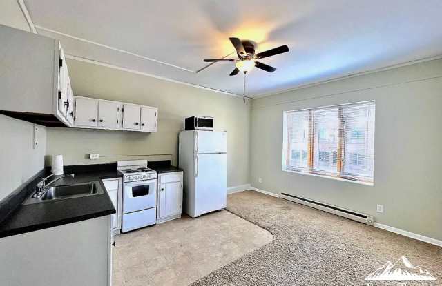 ADORABLE DOWNTOWN CONDO - WALK EVERYWHERE!