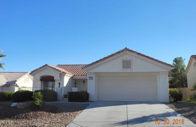 2720 Darby Falls Dr. - 2720 Darby Falls Drive, Las Vegas, NV 89134