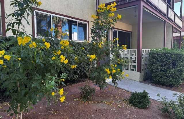 350 E Desert Inn Road