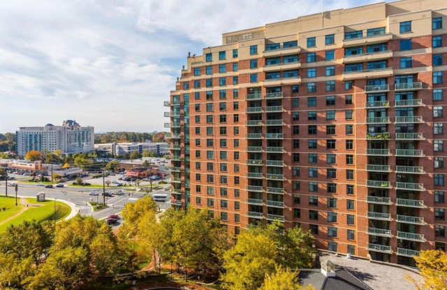 Luxury 2BD/2BA in The Gallery - Across from PIKE  ROSE + White Flint Metro photos photos