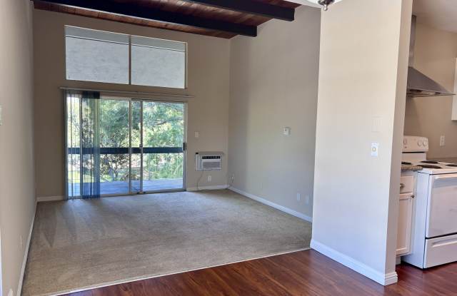 1591 Ellis Street, #313