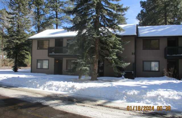 4531 Snow Slope Way #28 - 4531 Snow Slope Way, Pinetop Country Club, AZ 85935