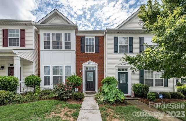 2393 Aston Mill Place - 2393 Aston Mill Place, Charlotte, NC 28273