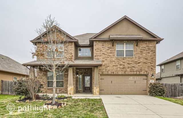 4587 Scots Elm