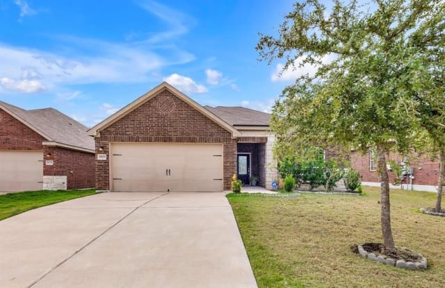 19717  Andrew Johnson DR - 19717 Andrew Johnson Drive, Manor, TX 78653