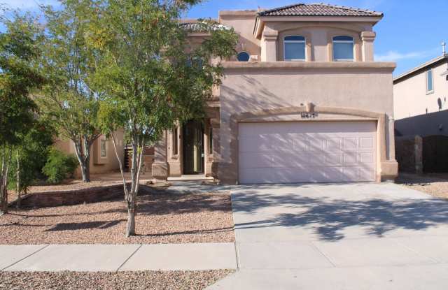 14617 RANDALL CUNNINGHAM