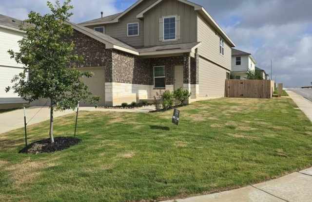 Photo of 108 Sabine Gull