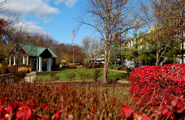 Senior Housing - Kentlands Manor Senior Apartments